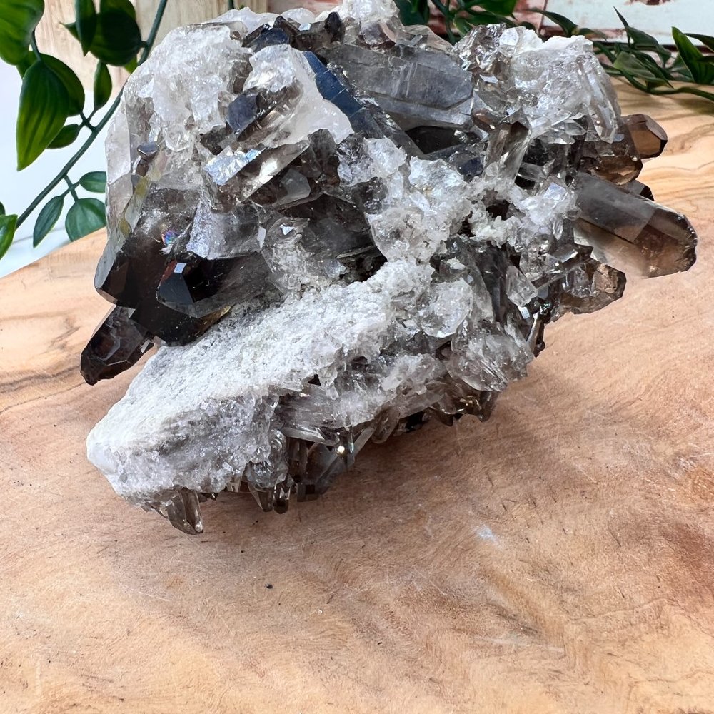 1 lb Double Sided Raw Smoky Quartz Crystal Cluster - A+ Collector Quality